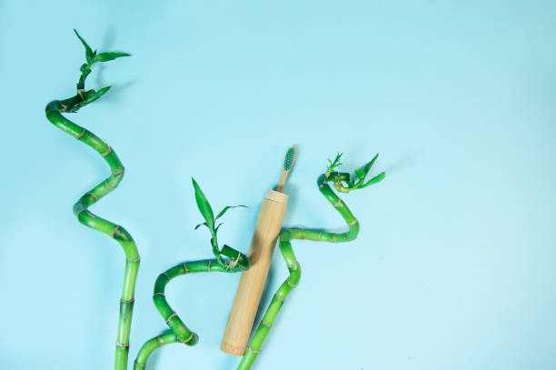 istock Flat lay composition with bamboo toothbrush and space for text 1155398473