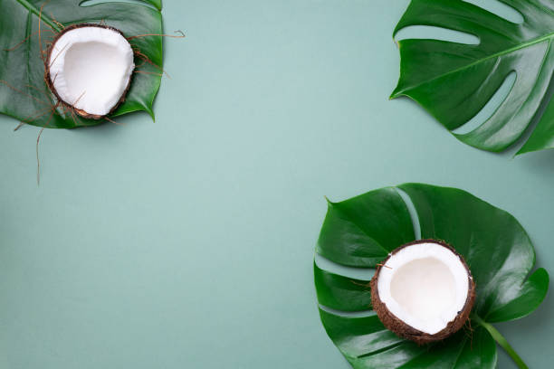 istock Fresh ripe coconuts, tropical palm and monstera leaves on green background with copy space. Top view. Summer concept, creative layout 1155398496