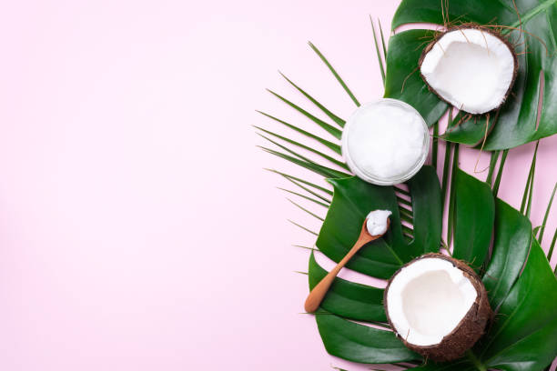 Coconut oil and ripe coconuts, tropical palm and monstera leaves on pink background with copy space. Top view. Summer creative layout. stock photo