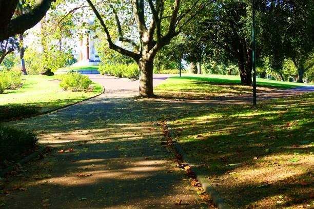 istock Beautiful nature in the garden and forest 1155399774