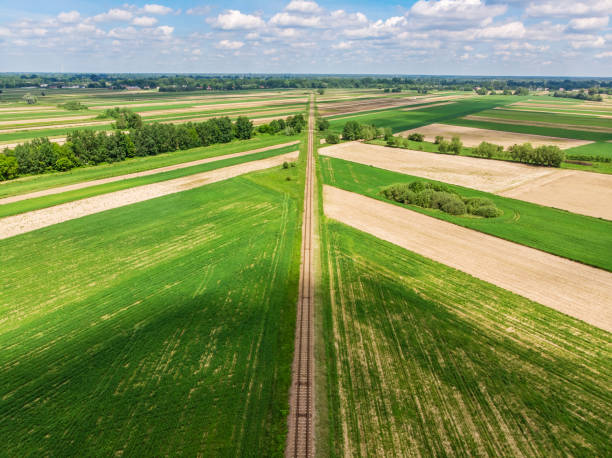 istock Railroad track amongst rural area aerial view 1155402380