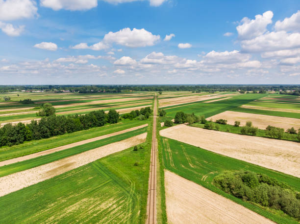 istock Railroad track amongst rural area aerial view 1155402385