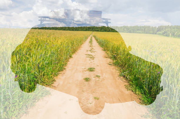 istock Retro car on field with rye and road background. Double exposure illustration. 1155403953
