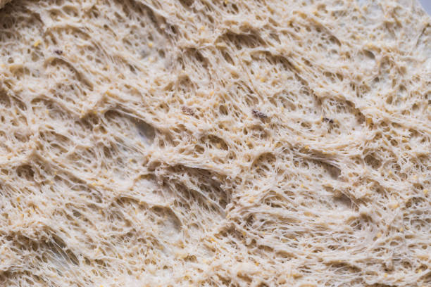 Sourdough texture, extreme close-up