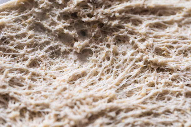 Sourdough texture, extreme close-up