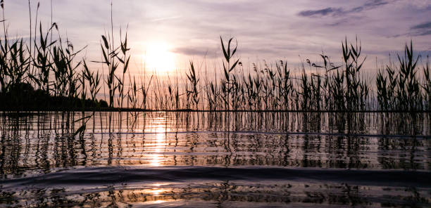 istock Sundown over Lakes of Shatsk 1155407451