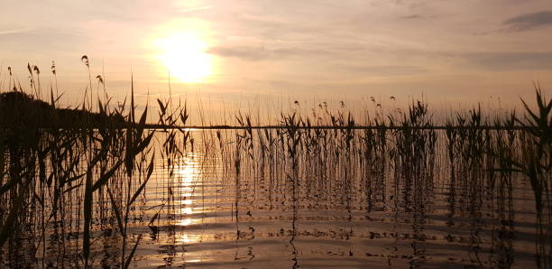 istock Sundown over Lakes of Shatsk 1155407502