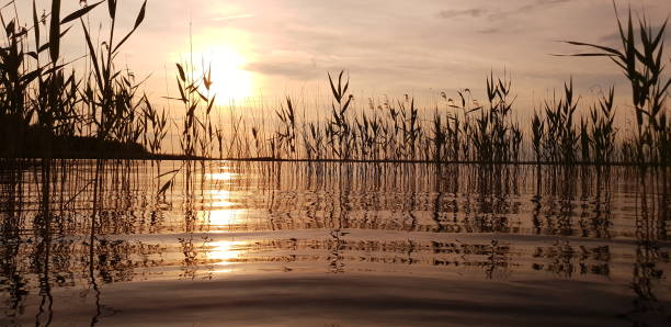 istock Sundown over Lakes of Shatsk 1155407525