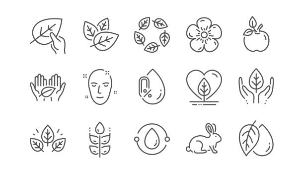 Organic cosmetics line icons. No alcohol, synthetic fragrance, fair trade. Linear set. Vector Organic cosmetics line icons. No alcohol free, synthetic fragrance, fair trade. Sustainable textiles, animal testing, eco organic icons. Linear set. Vector animal welfare stock illustrations
