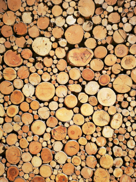 istock Stacked Wooden Logs - Sustainable Resources 1155418046