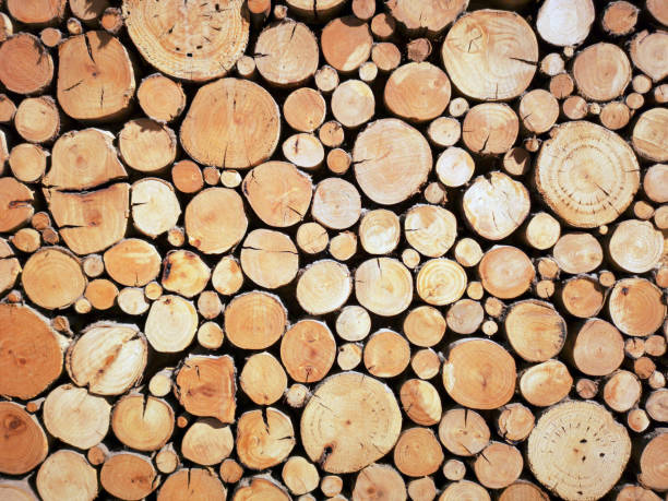 istock Stacked Wooden Logs - Sustainable Resources 1155418057