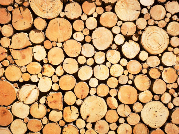 istock Stacked Wooden Logs - Sustainable Resources 1155418069