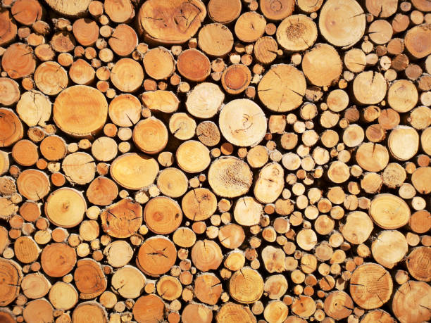 istock Stacked Wooden Logs - Sustainable Resources 1155418078