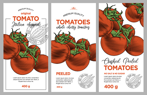 Vector hand drawn illustration of ripe tomatoes in engraving technique. Stylish vintage templates for tomato sauce packaging.