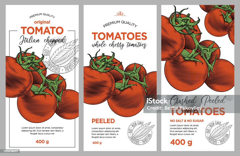 Tomato ketchup, sauce, juice badge label design set. Vector hand drawn illustration of ripe tomatoes in engraving technique. Stylish vintage templates for tomato sauce packaging. Tomato stock vector