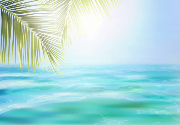 istock Summer background,nature of tropical beach with beautiful bright sea, blue sky and palm leaf 1155419774