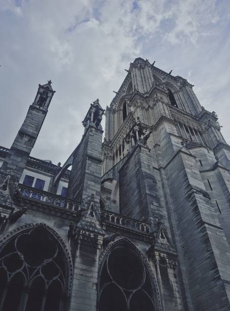 katedra notre dame de paris po pożarze - chimera zdjęcia i obrazy z banku zdjęć
