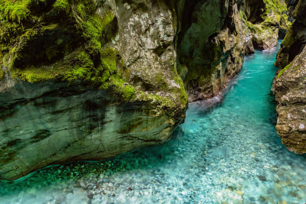 istock Crystal clear emerald mountain river flows between rocks in a deep canyon Tolmin Gorge in Triglav national park,Primorska, Slovenia,Julian Alps,Europe 1155424540