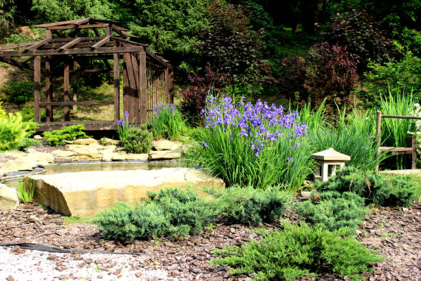 istock Landscaping design outdor exterior with architectural decorative elements. 1155425982