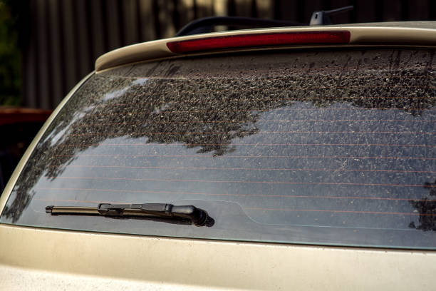istock rear window wiper with dirty car. 1155428278