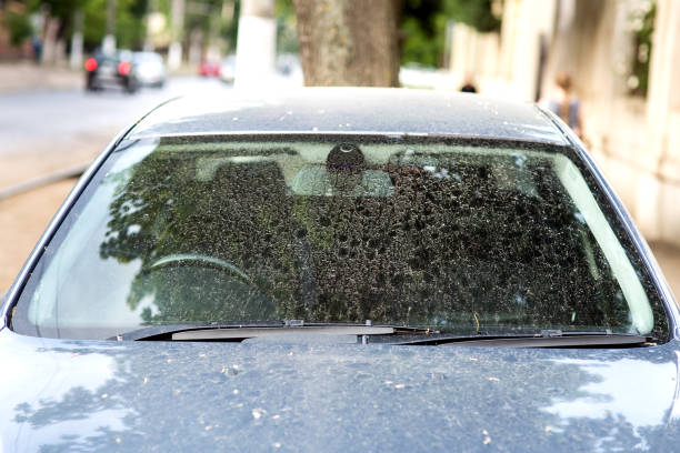 istock dirty car front view on the windshield with wipers, outdoors nobody. 1155428304