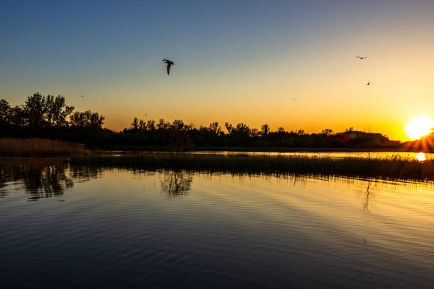 istock June 2019 sunset in Ontario #7 1155428408