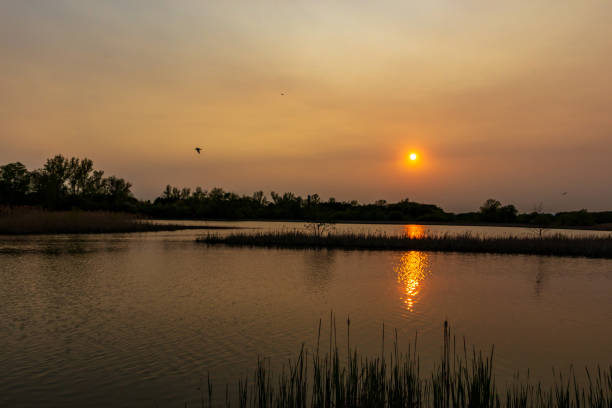 istock June 2019 sunset in Ontario #5 1155428544