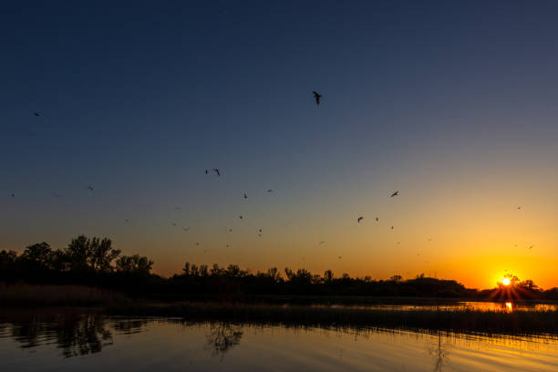 istock June 2019 sunset in Ontario #9 1155428559