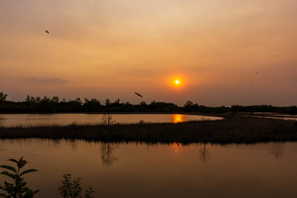 istock June 2019 sunset in Ontario #14 1155428720