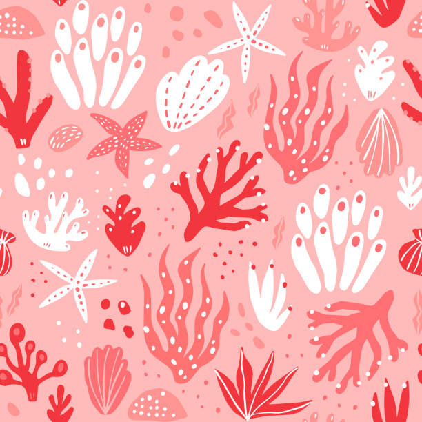 Seaweeds and shells hand drawn seamless pattern. Marine life vector wrapping paper. vector art illustration