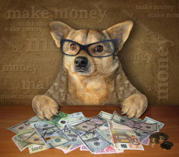 istock Dog at the table with dollars 1155432850