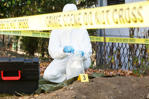 Crime scene investigator at work Forensic science specialist at work serial killings photos stock pictures, royalty-free photos & images
