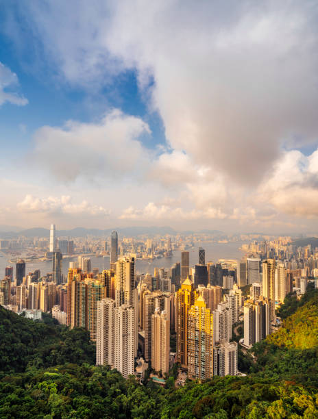 istock Hong Kong Skyline at sunset from the Peak 1155436388