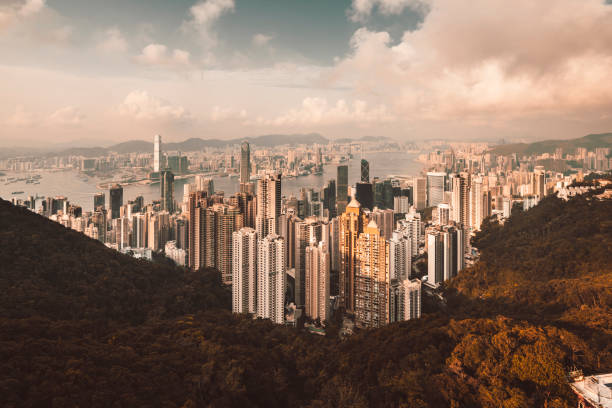 istock Hong Kong Skyline at sunset from the Peak 1155436395