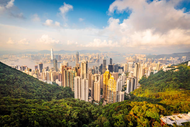 istock Hong Kong Skyline at sunset from the Peak 1155436396