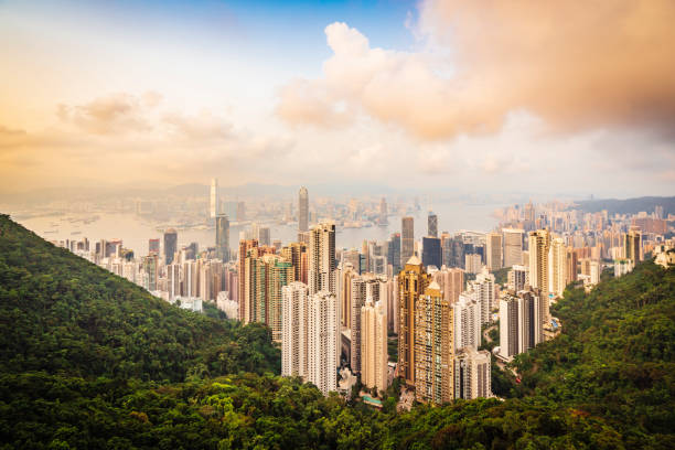 istock Hong Kong Skyline at sunset from the Peak 1155436397