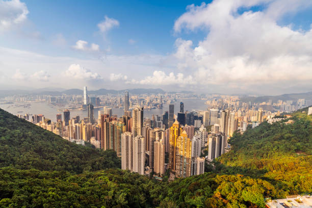 istock Hong Kong Skyline at sunset from the Peak 1155436423