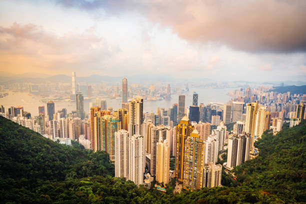 istock Hong Kong Skyline at sunset from the Peak 1155436426