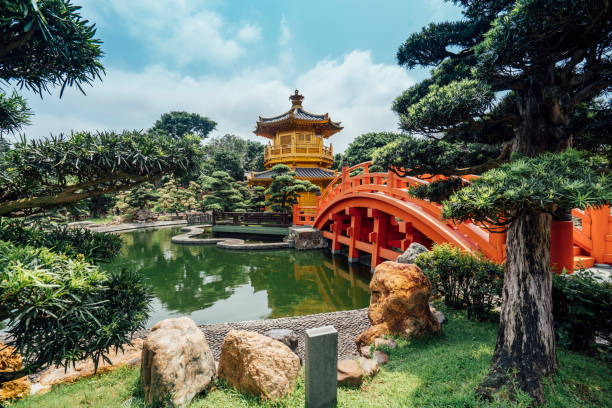 nan lian garden in hong kong - hong kong china chinese culture pagoda imagens e fotografias de stock