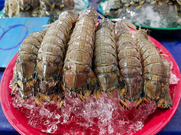istock A plate of mantis shrimp 1155437494