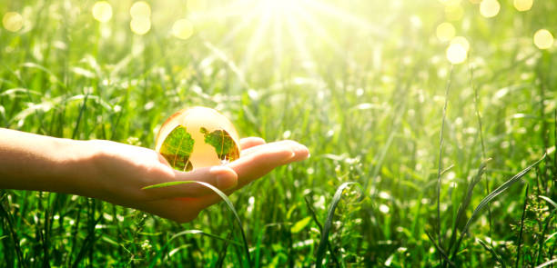 istock Earth glass globe in human hand on grass background. Saving environment and clean green planet concept. 1155438636