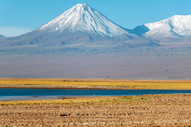 istock Tebinquinche Lagoon in Atacama Salt Flat, Chile 1155440136