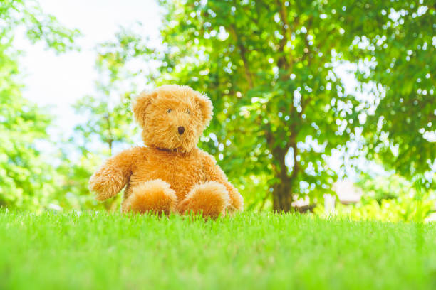 istock Teddy bear, garden, Outdoor, nature, gift, Doll 1155440280