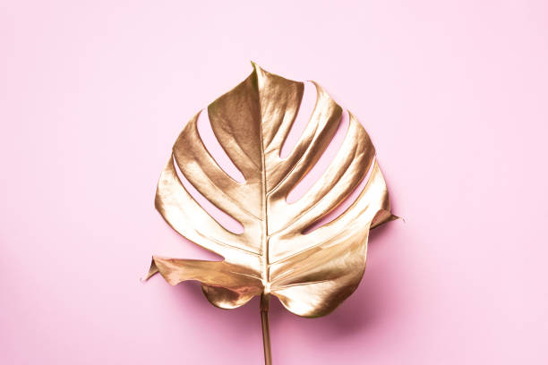 istock Golden tropical monstera leaf on pink background with copy space. Top view. Flat lay. Creative layout. Exotic summer concept in minimal style 1155442156