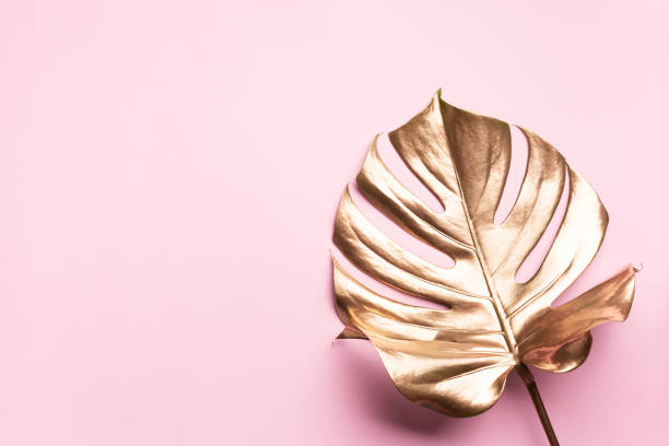 istock Golden tropical monstera leaf on pink background with copy space. Top view. Flat lay. Creative layout. Exotic summer concept in minimal style 1155442162