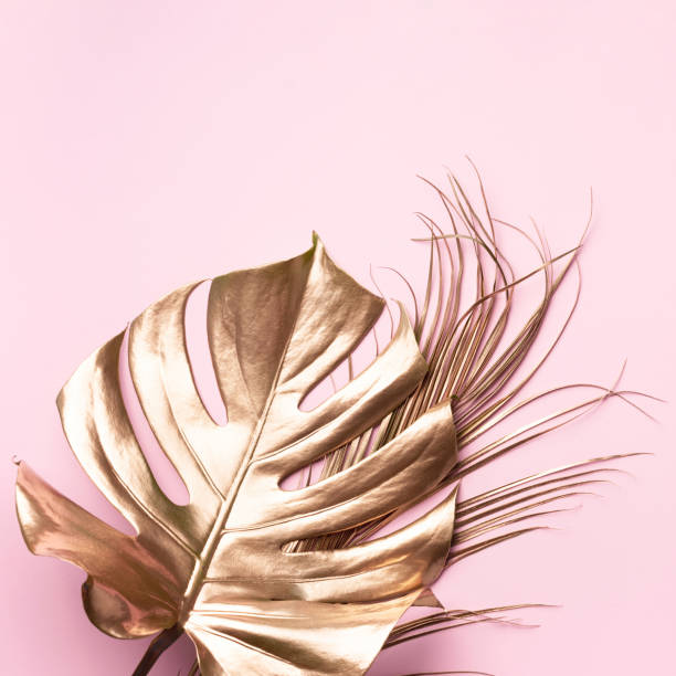 istock Golden tropical monstera leaf on pink background with copy space. Top view. Flat lay. Creative layout. Exotic summer concept in minimal style 1155442166