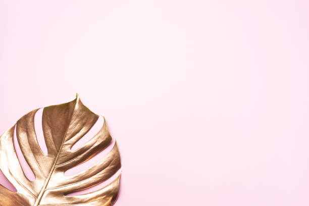 istock Golden tropical monstera leaf on pink background with copy space. Top view. Flat lay. Creative layout. Exotic summer concept in minimal style 1155442175