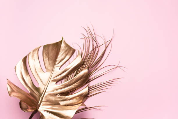 istock Golden tropical monstera leaf on pink background with copy space. Top view. Flat lay. Creative layout. Exotic summer concept in minimal style 1155442180