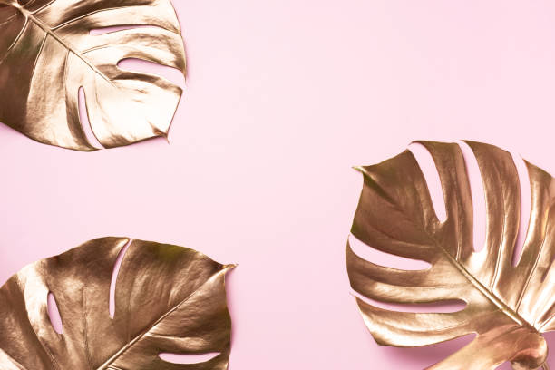 istock Golden tropical monstera leaf on pink background with copy space. Top view. Flat lay. Creative layout. Exotic summer concept in minimal style 1155442242