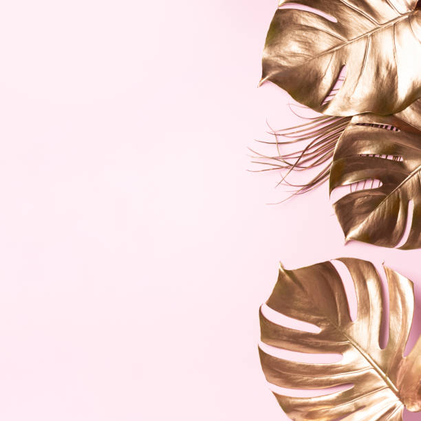 istock Golden tropical monstera leaf on pink background with copy space. Top view. Flat lay. Creative layout. Exotic summer concept in minimal style 1155442254